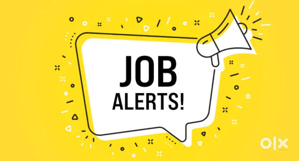 Civil Engineer (Fresher)