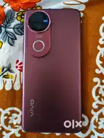 Vivo v50 8+256