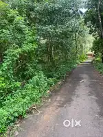 80 CENT 700m FROM PADIYOTUCHAL TOWN