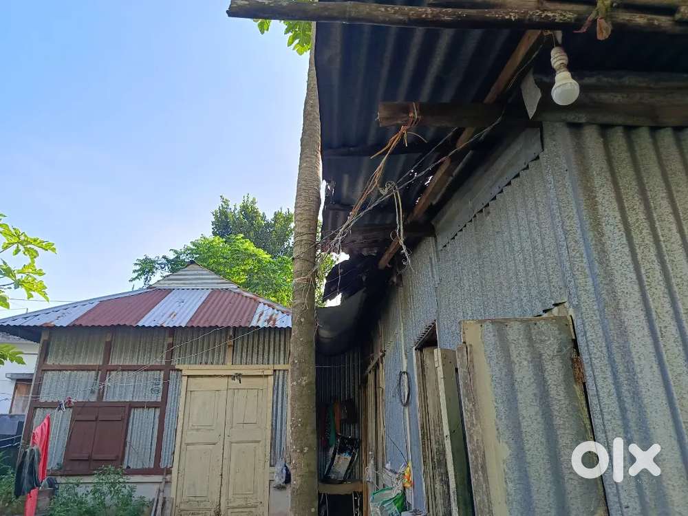 Bosot bari bikri kora hobe