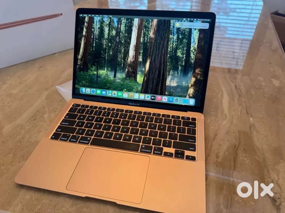 Apple MacBook Air 13.3 Retina i3 1.1GHz Dual-Core 8GB Ram 256GB SSD
