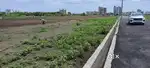 Open Land for Sale in Turakapalem Guntur.