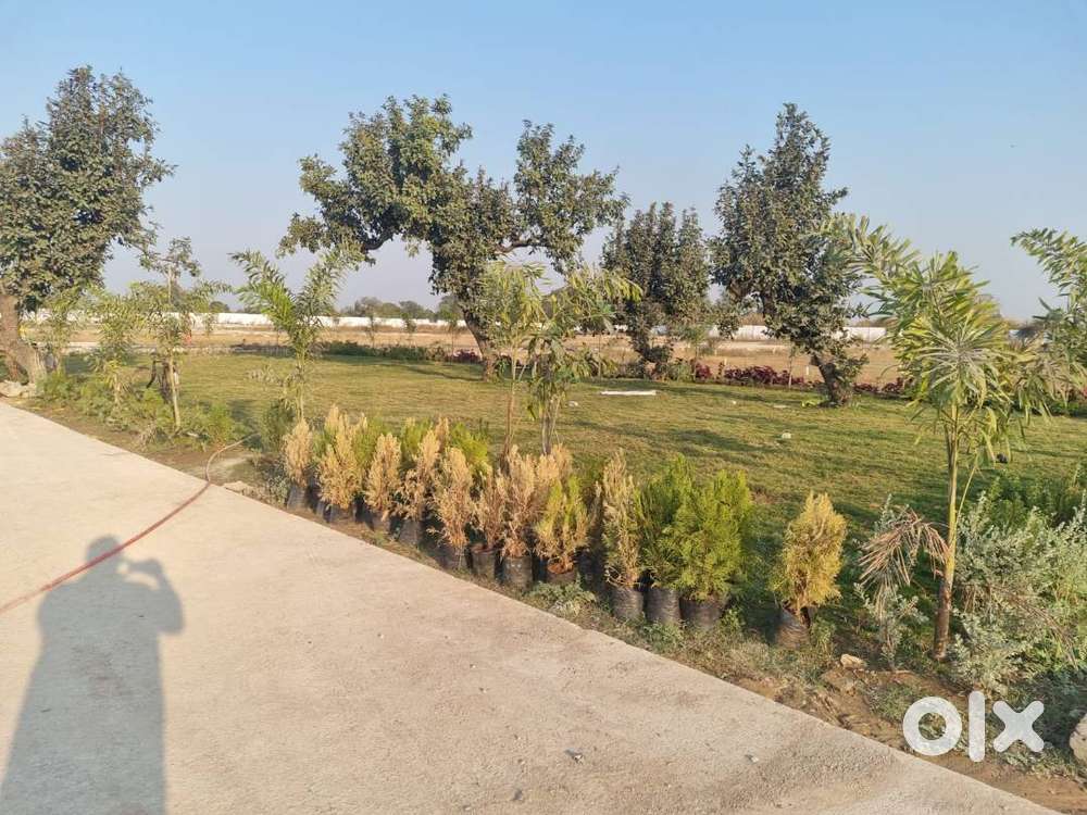 plot available at vidya nagar in prime location