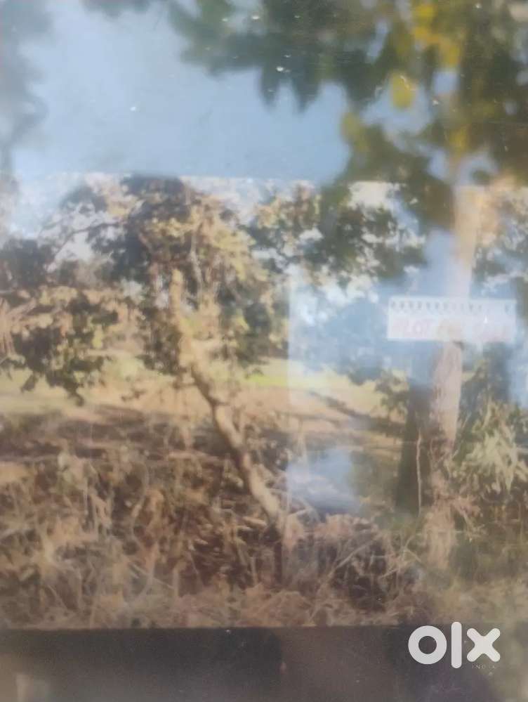 Agriculture land sale