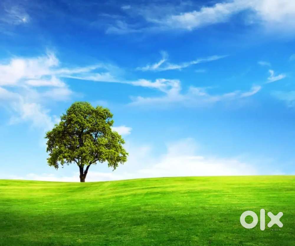 3katha land for sale