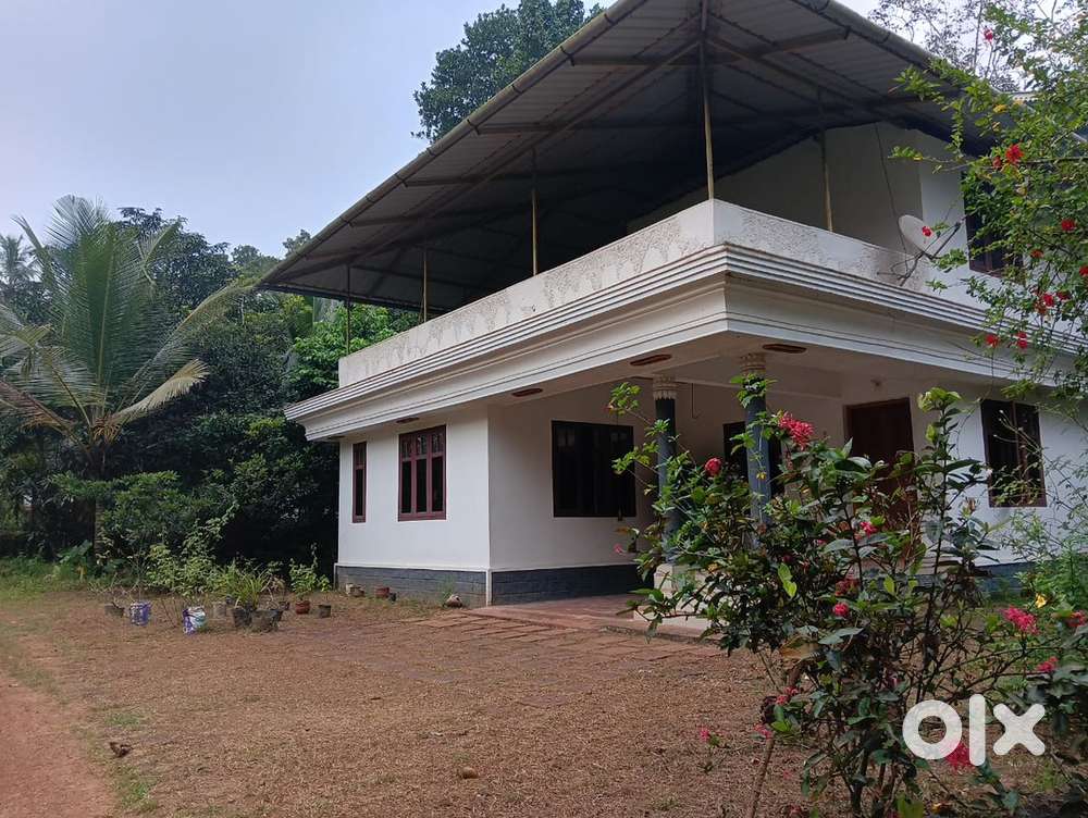 12.5 cents Independent house Vayattuparamba,Kannur
