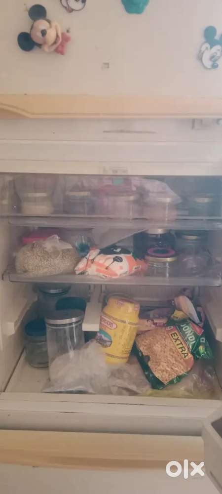 Fridge BPL