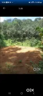 18 cent വസ്തു ലോറി വഴി ചുള്ളിമാനൂർ55,000/-