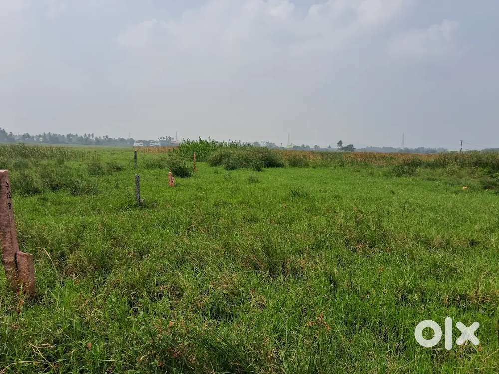 2880 sq. Ft Vacant land for Rent at Mannivakkam