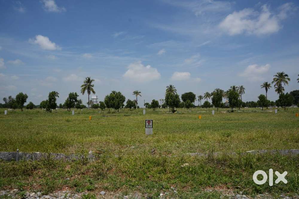 Plots Selling Fast! Don’t Miss the Sunrise Opportunity!