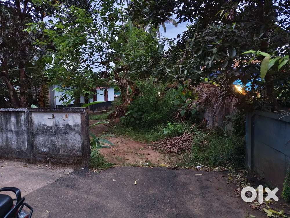 8 cent Plot at Vadookara