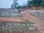 Manglapuram vavarambalam 500 mtr main road 5,6,7,8 cent square plots