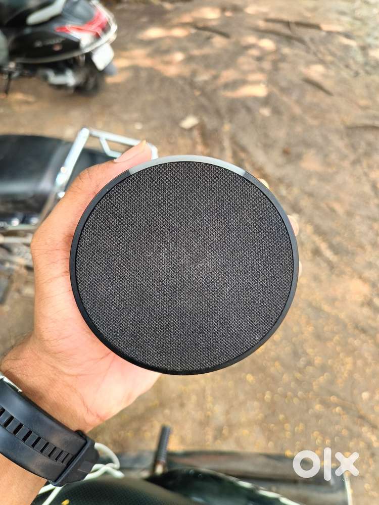 Alexa echo