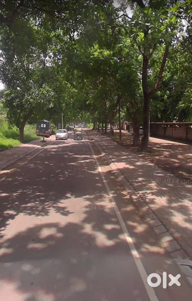 Salesman for paint marketing