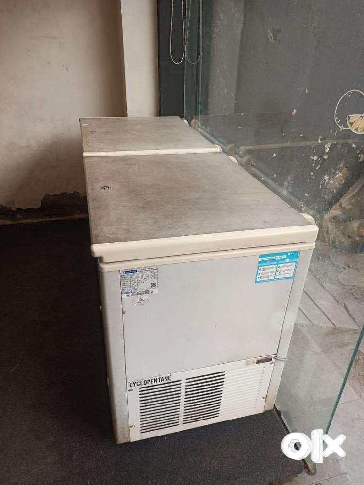 500 Liter Blue Star Deep Freezer