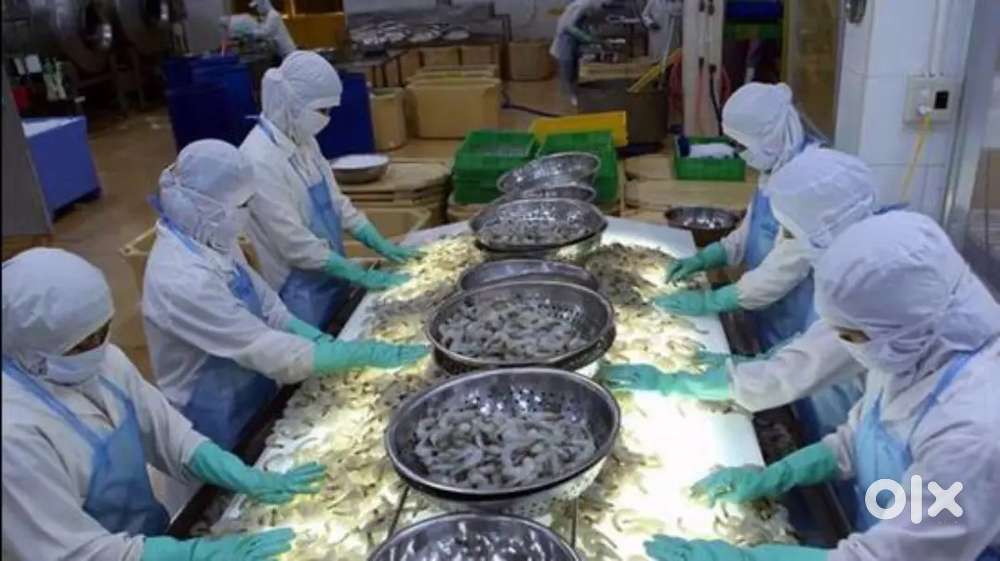 Cake company, prawn company urgently required in Bhubaneswar, khordha