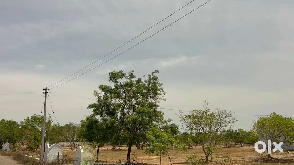 Around 35+ house residential on road plot for sale registration free