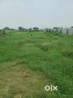 Farm land For Sale Near Aims Badsa
