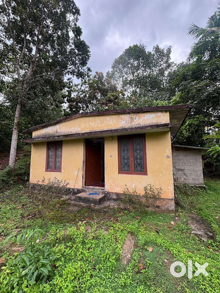 Furnished independent house