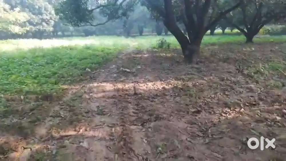 दाखिल खारिज जमीन 1बीघा में बिकाऊ है सीतापुर रोड के पास मे