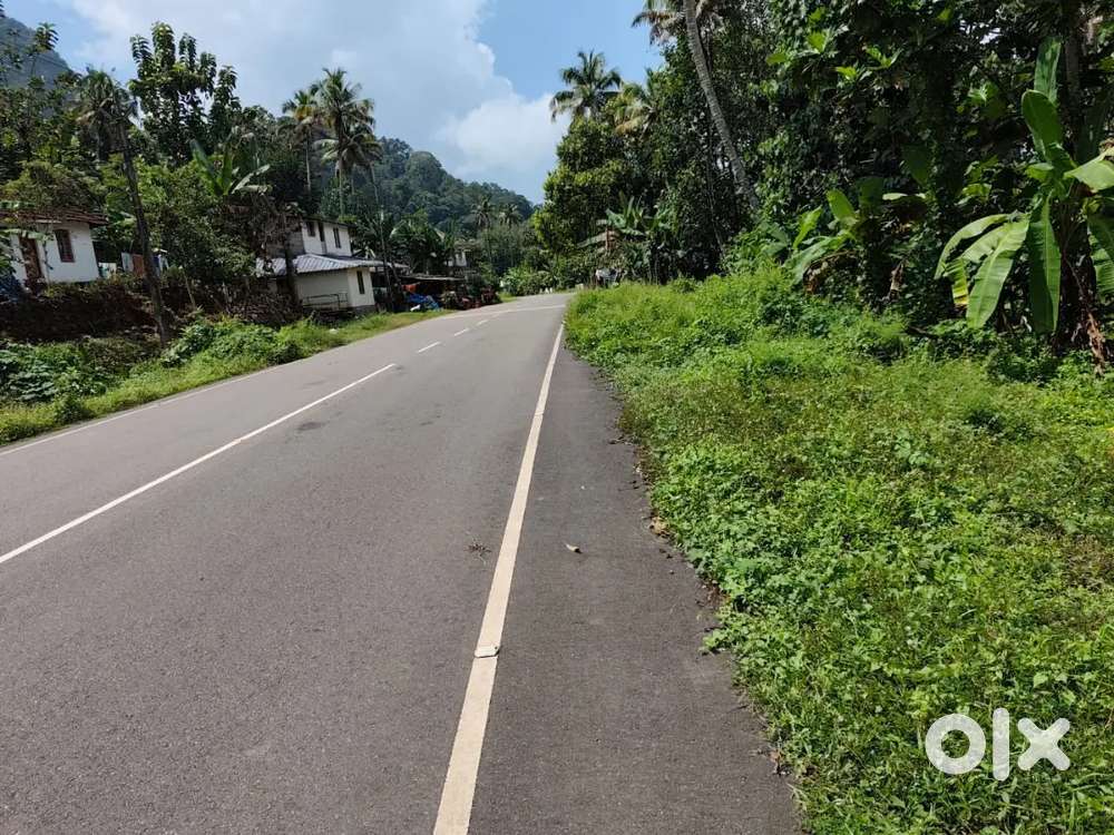 Kothamangalam kuttampuzha 1 acre 15 cent for sale