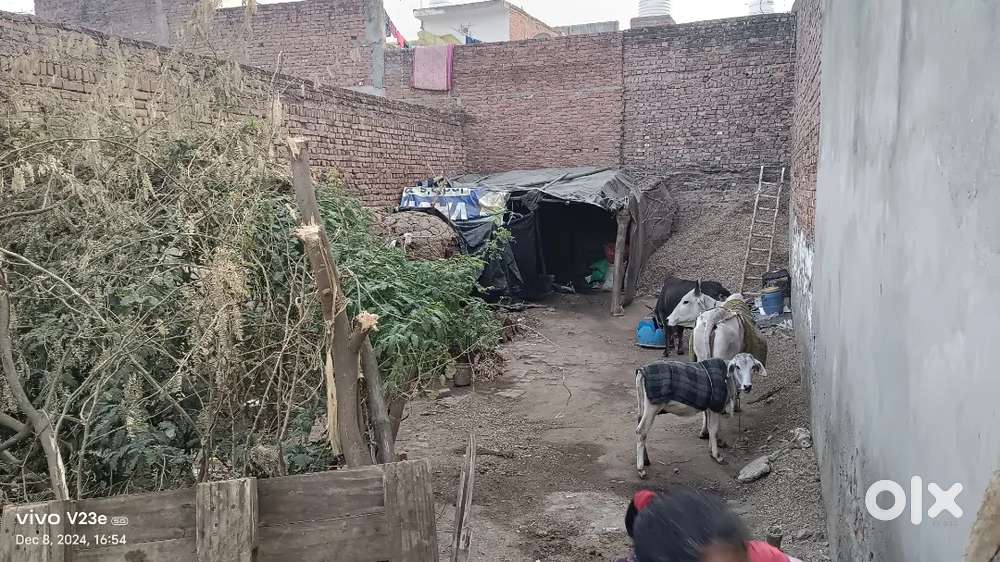 Plot for sale 128.5 Sqyd