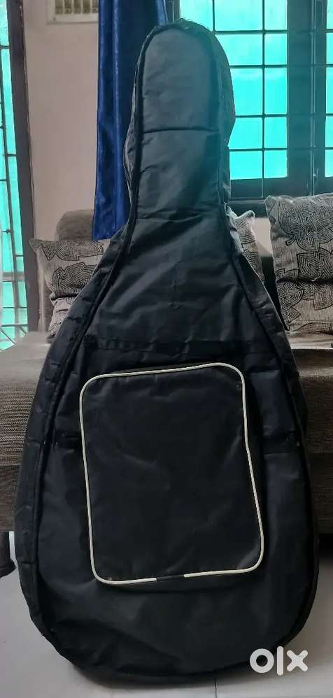 Guitar with cover for sale
