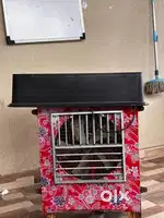 Air cooler