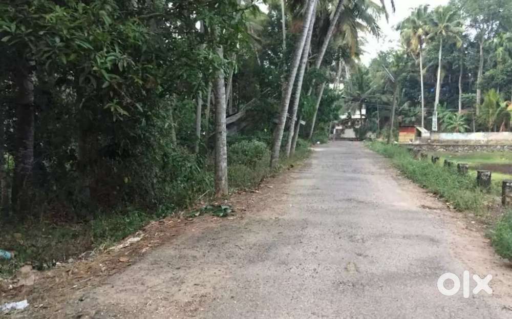 3 cent plot for sale near Nemom