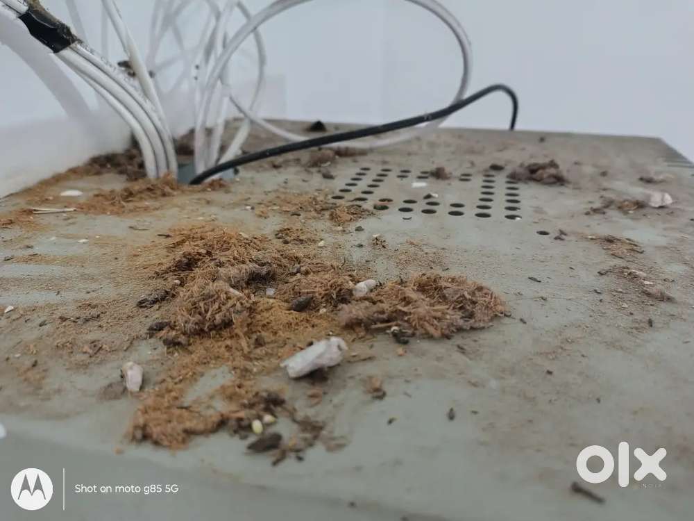 Rajpura godam me mantines ke kam ke liye chaiye