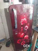 Brand new bpl