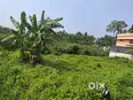 60 cent plot for sale