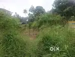 22 cent Commercial land for sale at Athani Nedumbassery, NH frontage