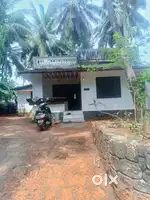 9 cent,7 coconut tree, 1mango tree,1 Jackfroot tree,