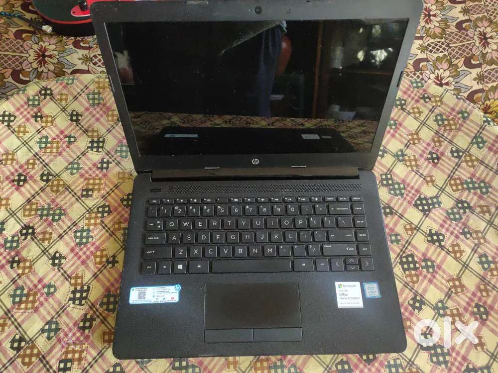 Hp Laptop 8th Gen, 8 GB RAM, SSD 256GB