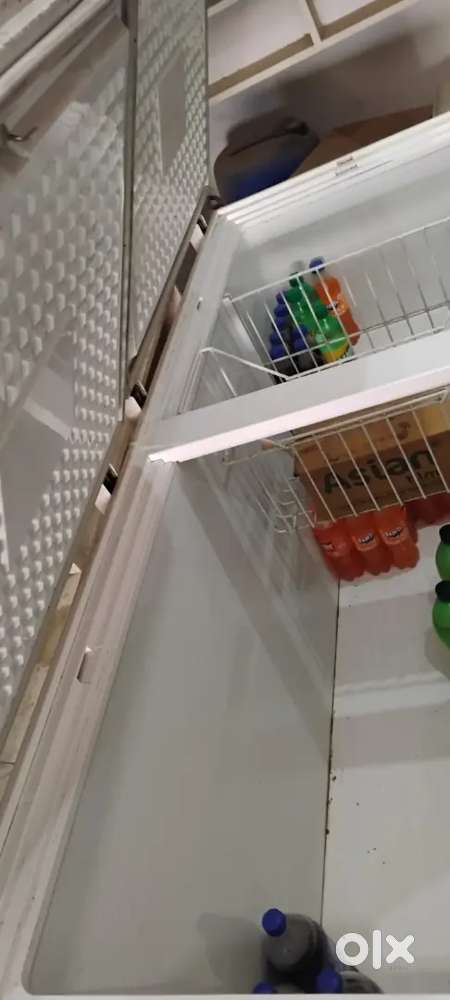 Blue Star Commercial Worktop Fridge