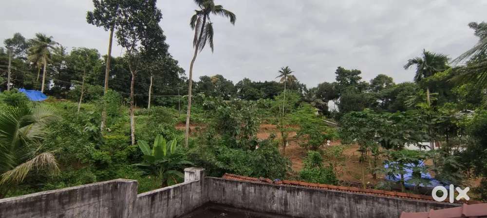 15 Cent House Plot For Sale