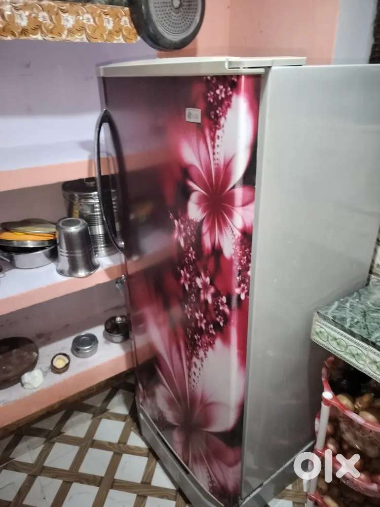 Fridge Refrigerator