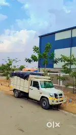 Mahindra Bolero driver
