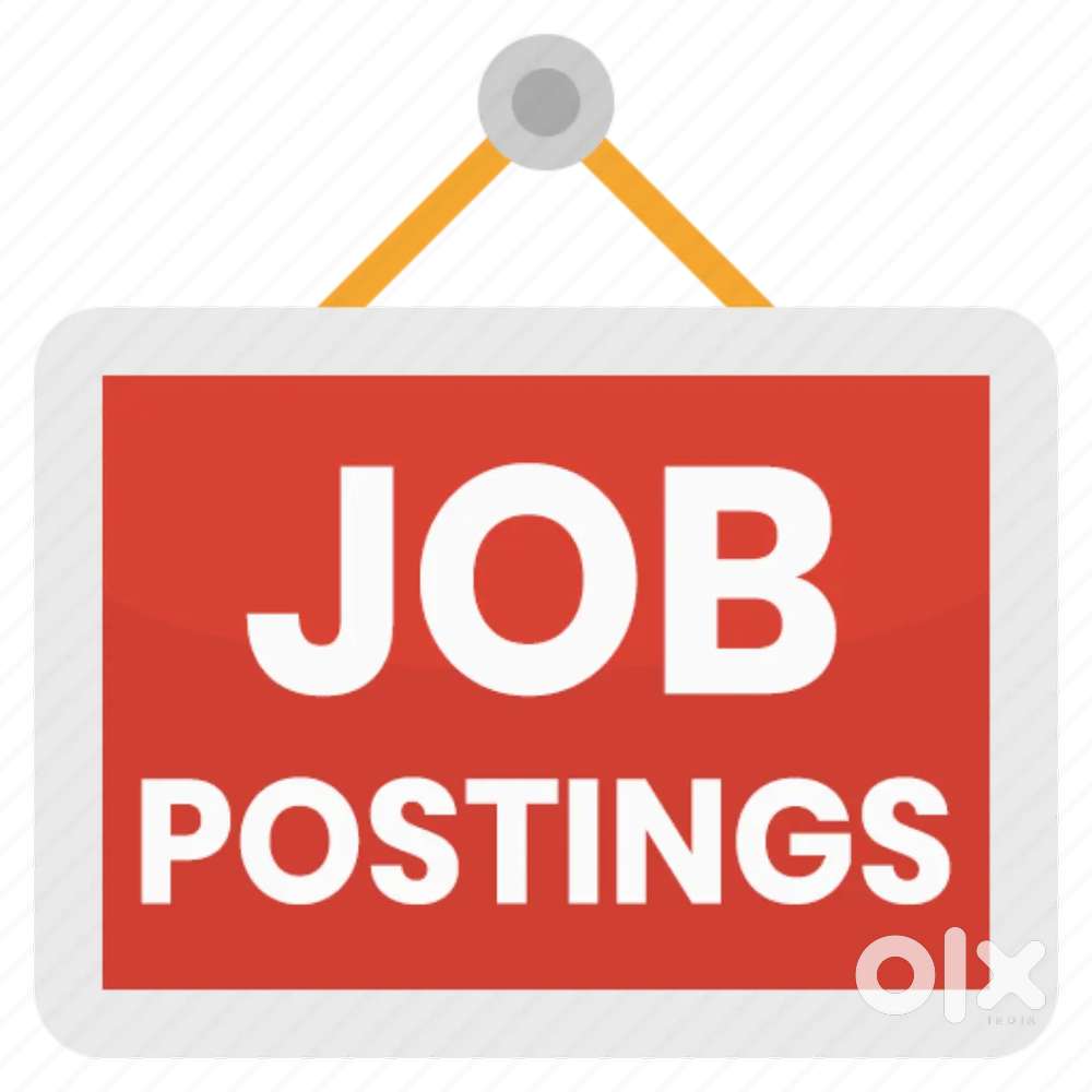 IT software development candidates