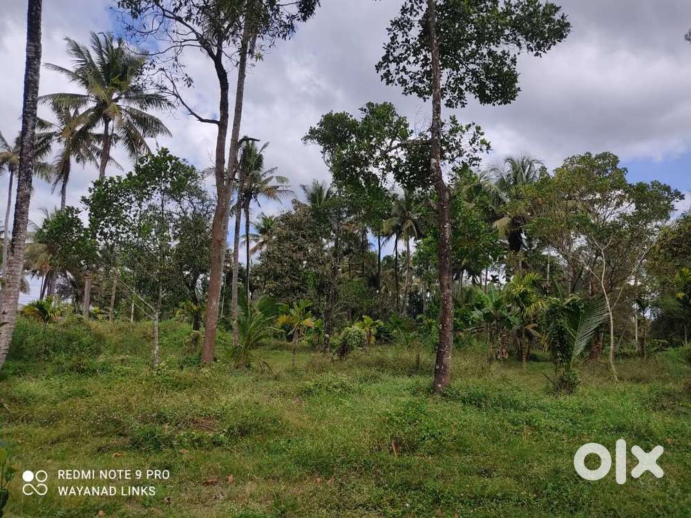 Riverside charm-your perfect homestay location Koodalkadavu Wayanad