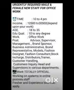Fashion and lifestyle industry