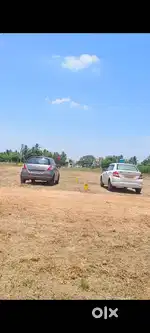 Offer!Offer!Offer! On Road Site