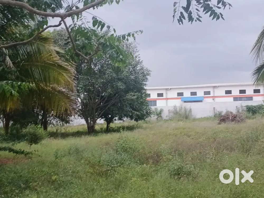 1 cent starting from 1,50,000 to 2,75,000 only