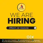 Need Pre Primary Teacher in Trissur