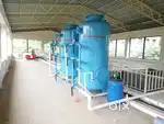STP Operator