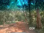 1 ACRES FARM,15 KM FROM VTU BELGAUM