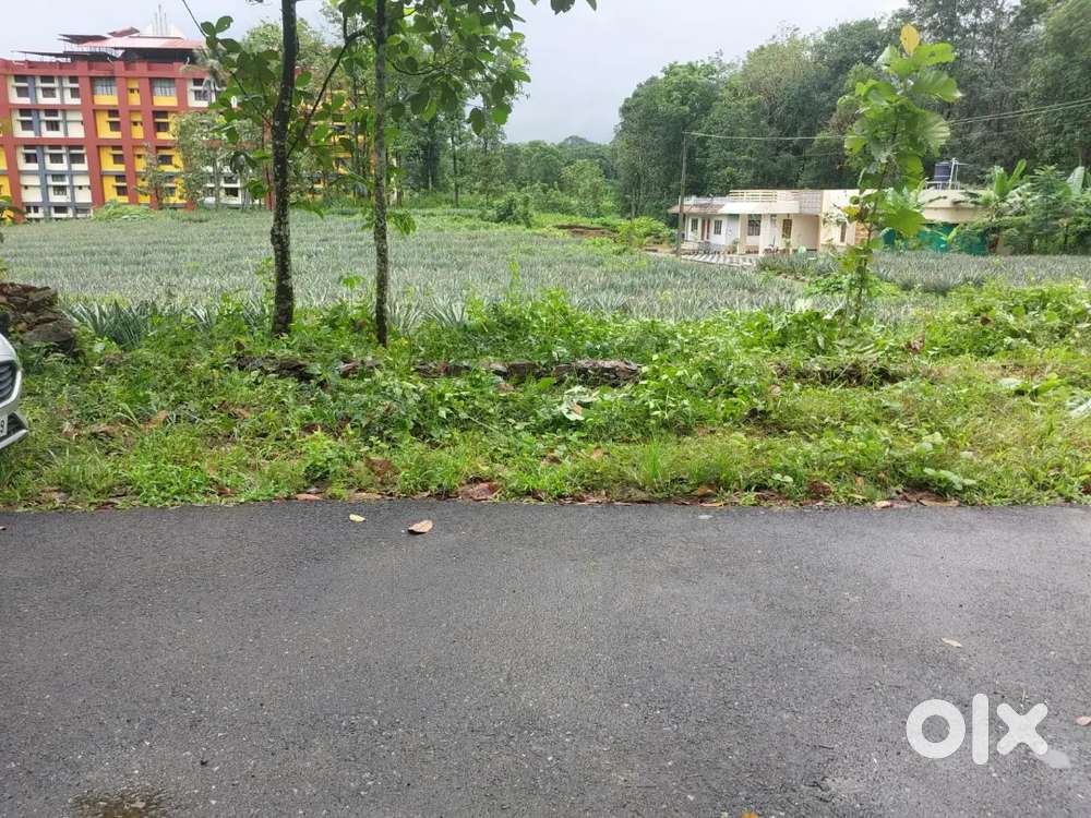 House plot near choondachery engineering college