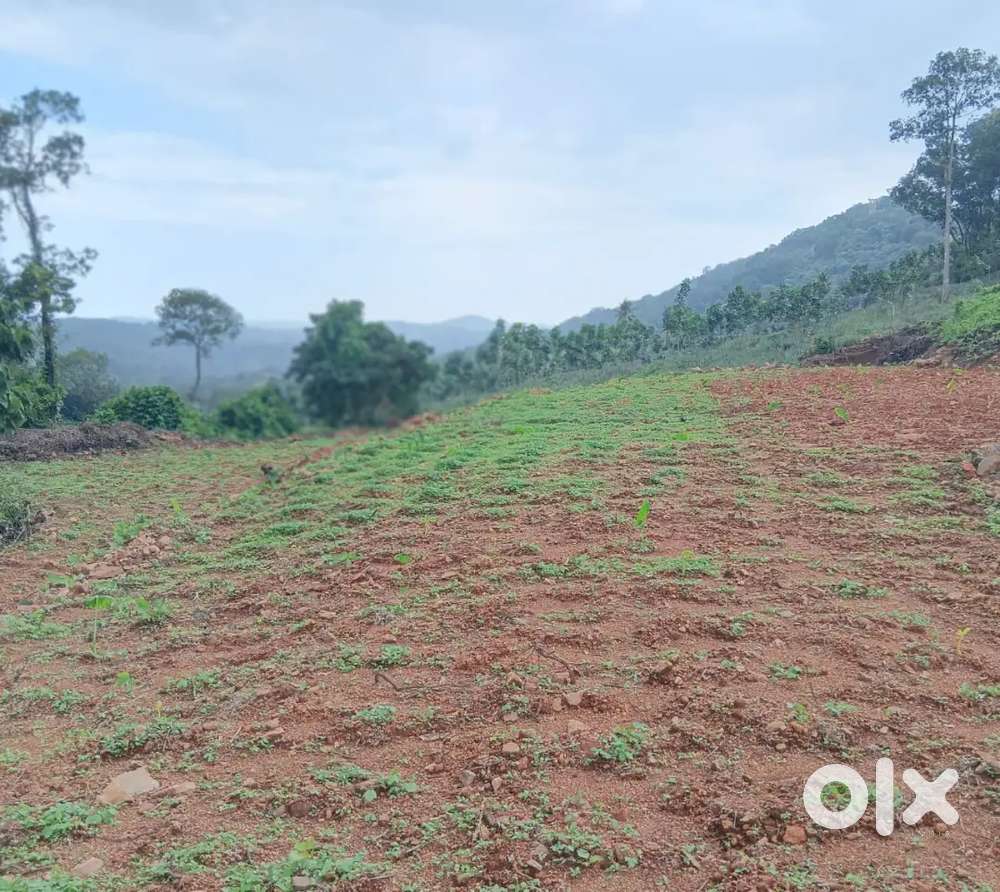 1.38 acres of land for sale