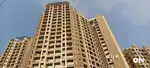 Big Carpet 1 bhk flat for rent in Naigaon east